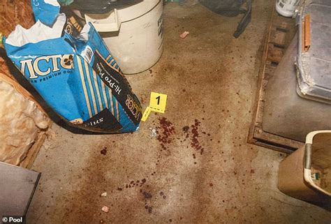 pictures of the murdaugh crime scene|Chilling photos reveal bloody crime scene where Maggie and Paul ...